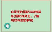 白灵芝的搭配与功效禁忌(搭配白灵芝，了解功效与注意事项)