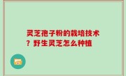 灵芝孢子粉的栽培技术？野生灵芝怎么种植