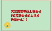 灵芝需要哪些土壤生长的(灵芝生长的土壤成份是什么？)