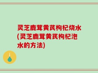 灵芝鹿茸黄芪枸杞烧水(灵芝鹿茸黄芪枸杞泡水的方法)