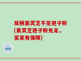 反柄紫灵芝不见孢子粉(紫灵芝孢子粉充足，买家有保障)