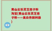 黄山云乐灵芝孢子粉 淘宝(黄山云乐灵芝孢子粉——美白养颜利器)