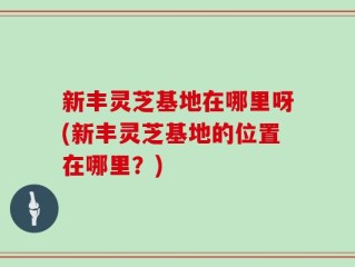 新丰灵芝基地在哪里呀(新丰灵芝基地的位置在哪里？)