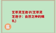 艺萃灵芝孢子(艺萃灵芝孢子：自然之神的赐礼)