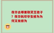 夜华去哪里取灵芝孢子？夜华耗尽毕生修为为何又有修为