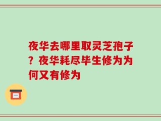 夜华去哪里取灵芝孢子？夜华耗尽毕生修为为何又有修为