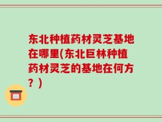 东北种植药材灵芝基地在哪里(东北巨林种植药材灵芝的基地在何方？)