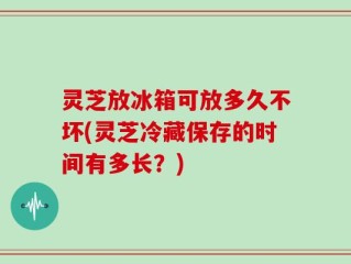 灵芝放冰箱可放多久不坏(灵芝冷藏保存的时间有多长？)