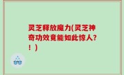 灵芝释放魔力(灵芝神奇功效竟能如此惊人？！)