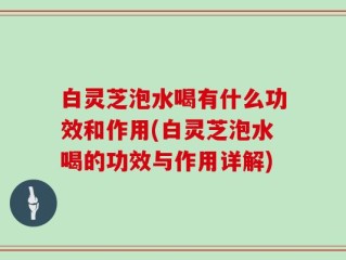 白灵芝泡水喝有什么功效和作用(白灵芝泡水喝的功效与作用详解)