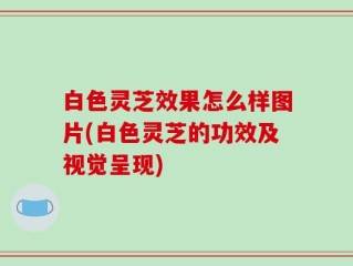 白色灵芝效果怎么样图片(白色灵芝的功效及视觉呈现)