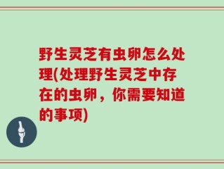 野生灵芝有虫卵怎么处理(处理野生灵芝中存在的虫卵，你需要知道的事项)