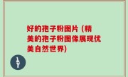 好的孢子粉图片 (精美的孢子粉图像展现优美自然世界)