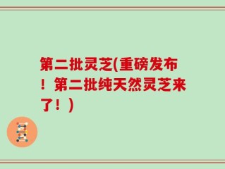 第二批灵芝(重磅发布！第二批纯天然灵芝来了！)