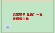 灵芝孢子 显微？一文看懂微生物