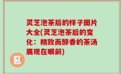 灵芝泡茶后的样子图片大全(灵芝泡茶后的变化：精致而醇香的茶汤展现在眼前)