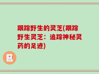跟踪野生的灵芝(跟踪野生灵芝：追踪神秘灵药的足迹)