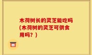 木荷树长的灵芝能吃吗(木荷树的灵芝可供食用吗？)