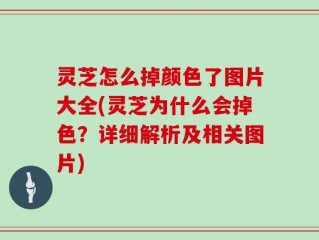 灵芝怎么掉颜色了图片大全(灵芝为什么会掉色？详细解析及相关图片)