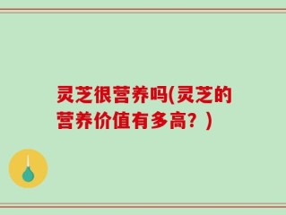 灵芝很营养吗(灵芝的营养价值有多高？)