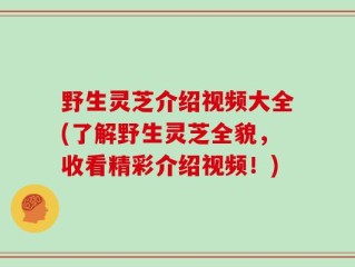 野生灵芝介绍视频大全(了解野生灵芝全貌，收看精彩介绍视频！)