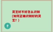灵芝好不好怎么识别 (如何正确识别好的灵芝？)