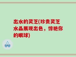 出水的灵芝(珍贵灵芝水晶展现出色，惊艳你的眼球)