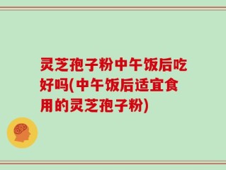灵芝孢子粉中午饭后吃好吗(中午饭后适宜食用的灵芝孢子粉)