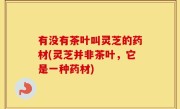 有没有茶叶叫灵芝的药材(灵芝并非茶叶，它是一种药材)