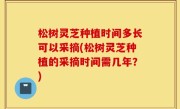 松树灵芝种植时间多长可以采摘(松树灵芝种植的采摘时间需几年？)