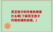 灵芝孢子的作用机理是什么呢(了解灵芝孢子作用机理的关键。)