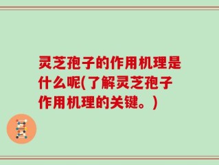 灵芝孢子的作用机理是什么呢(了解灵芝孢子作用机理的关键。)