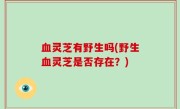 血灵芝有野生吗(野生血灵芝是否存在？)