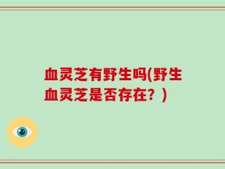 血灵芝有野生吗(野生血灵芝是否存在？)