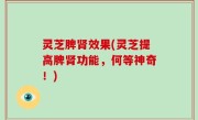 灵芝脾肾效果(灵芝提高脾肾功能，何等神奇！)