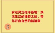 安远灵芝孢子基地：焕活生活的独特之旅，带你开启自然的新篇章
