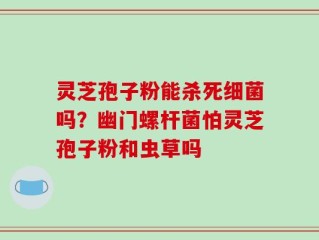 灵芝孢子粉能杀死细菌吗？幽门螺杆菌怕灵芝孢子粉和虫草吗