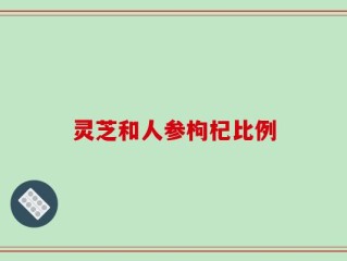 灵芝和人参枸杞比例