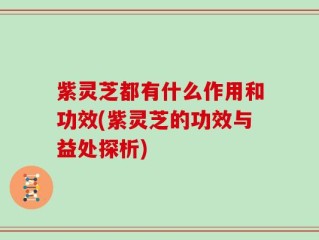 紫灵芝都有什么作用和功效(紫灵芝的功效与益处探析)