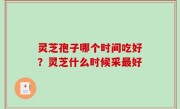 灵芝孢子哪个时间吃好？灵芝什么时候采最好