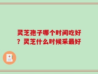 灵芝孢子哪个时间吃好？灵芝什么时候采最好