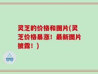 灵芝的价格和图片(灵芝价格暴涨！最新图片披露！)