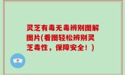 灵芝有毒无毒辨别图解图片(看图轻松辨别灵芝毒性，保障安全！)
