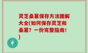 灵芝桑葚保存方法图解大全(如何保存灵芝和桑葚？一份完整指南！)