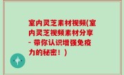 室内灵芝素材视频(室内灵芝视频素材分享 - 带你认识增强免疫力的秘密！)