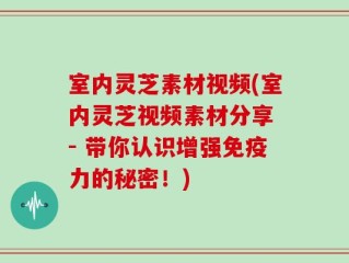 室内灵芝素材视频(室内灵芝视频素材分享 - 带你认识增强免疫力的秘密！)
