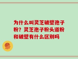 为什么叫灵芝破壁孢子粉？灵芝孢子粉头道粉和破壁有什么区别吗