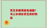 灵芝多糖薄层色谱图？书上长得似灵芝状的物品