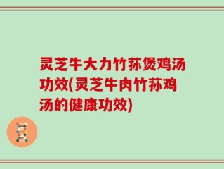 灵芝牛大力竹荪煲鸡汤功效(灵芝牛肉竹荪鸡汤的健康功效)