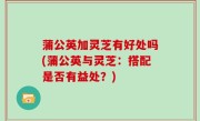 蒲公英加灵芝有好处吗(蒲公英与灵芝：搭配是否有益处？)